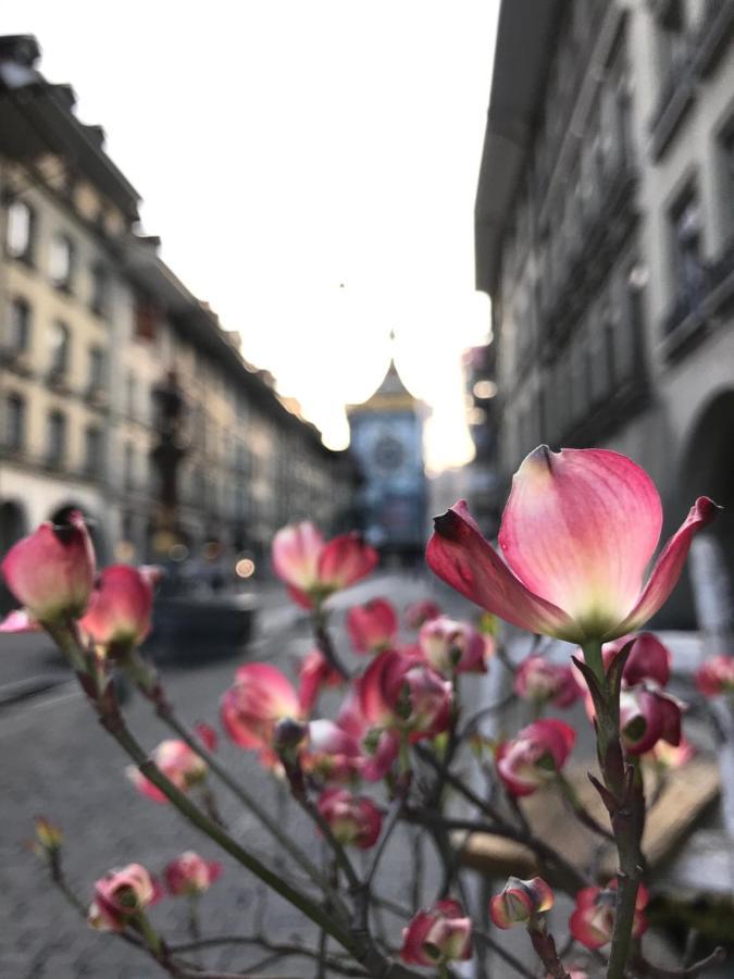 Historical, Bright & Beautiful In Old City - 3Rd Floor Bern Exterior photo